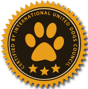 多设备同步的手机号在线轰炸测试